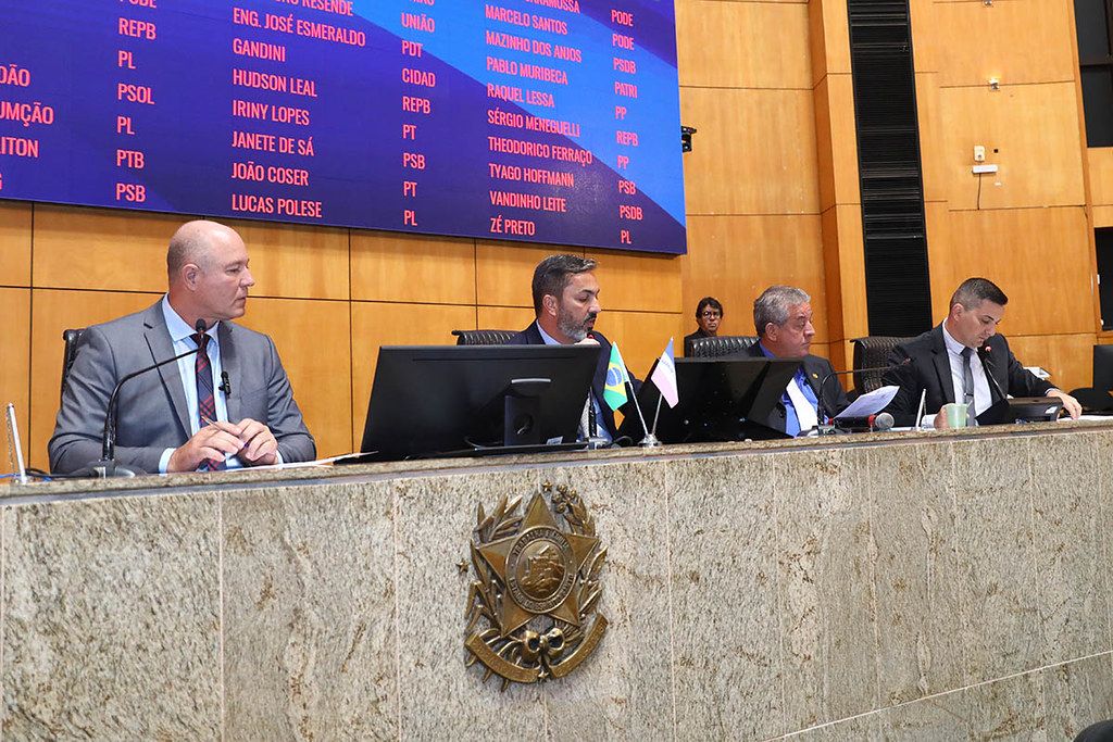 comissao_financas_ales_ellencampanharo_ales.jpg