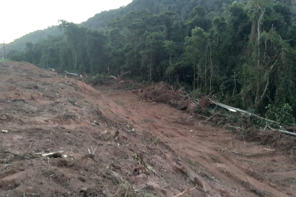 desmatamento_santa_teresa_rodovia_foto_do_leitor.jpg
