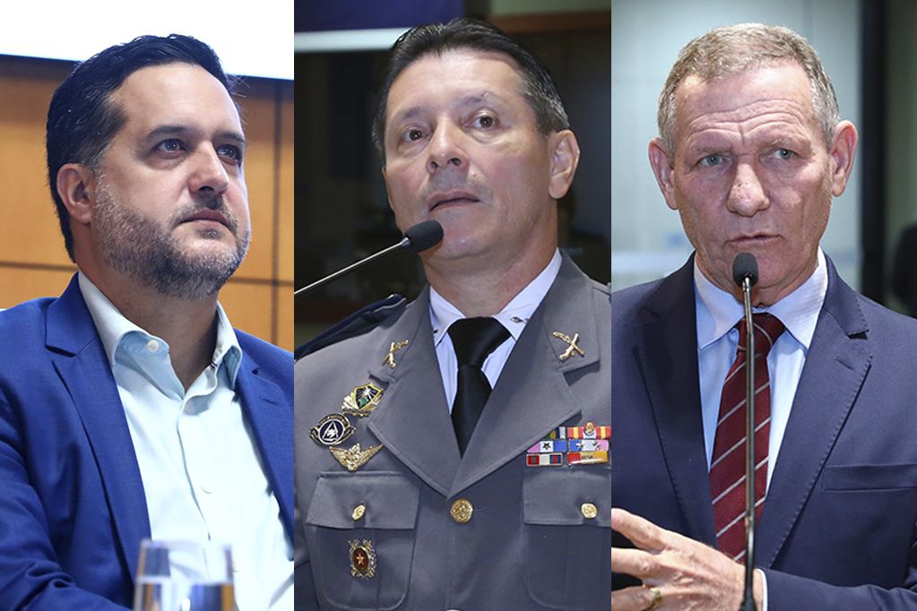 gandini_assuncao_coser_ales.jpg