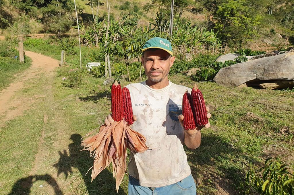agricultor_milho_crioulo_muqui_vermelho_jose_arcanjo_nunes.jpg