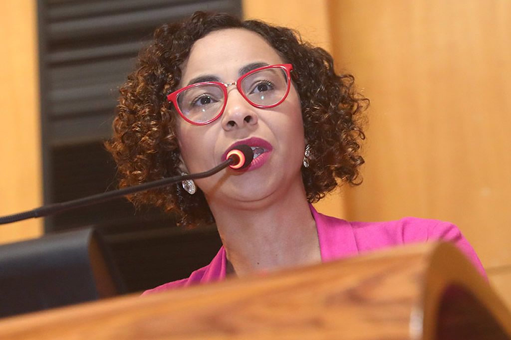 ales_plenario_Camilavaladao_ellencampanharo_ales.jpg