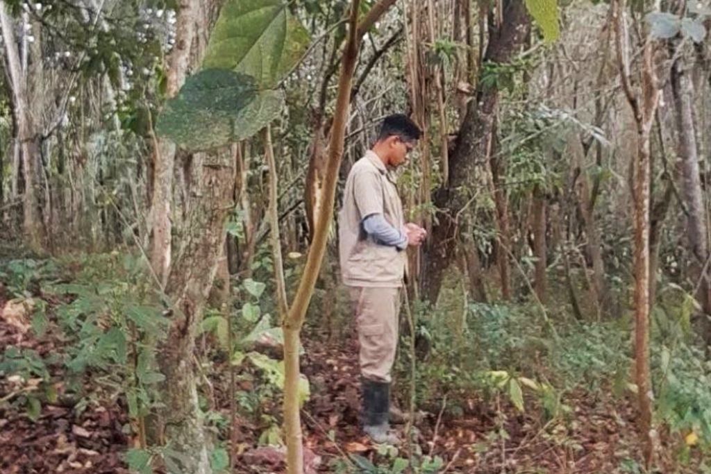 meio_ambiente_divulgacao.jpg