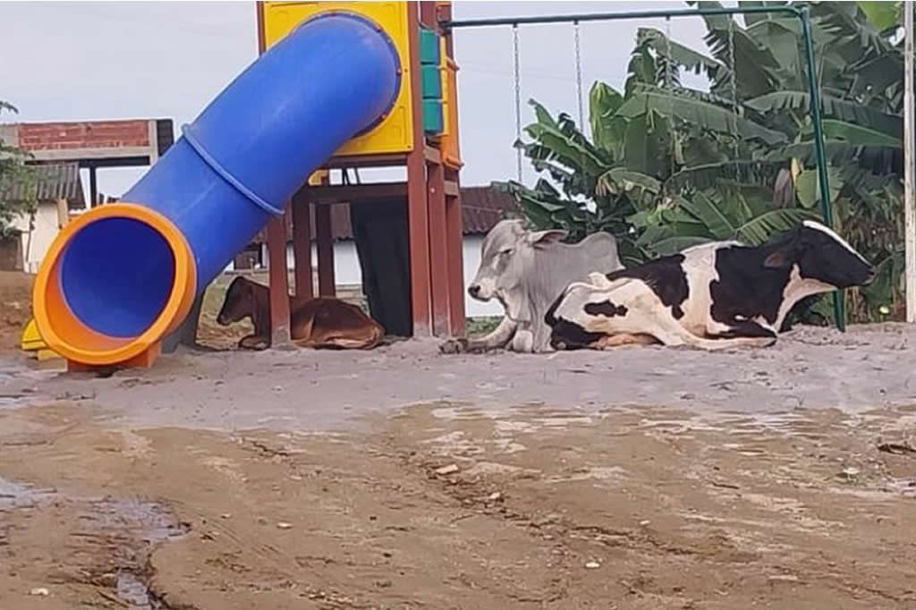 parqueanchieta_boisvacas_fotoleitor.jpg