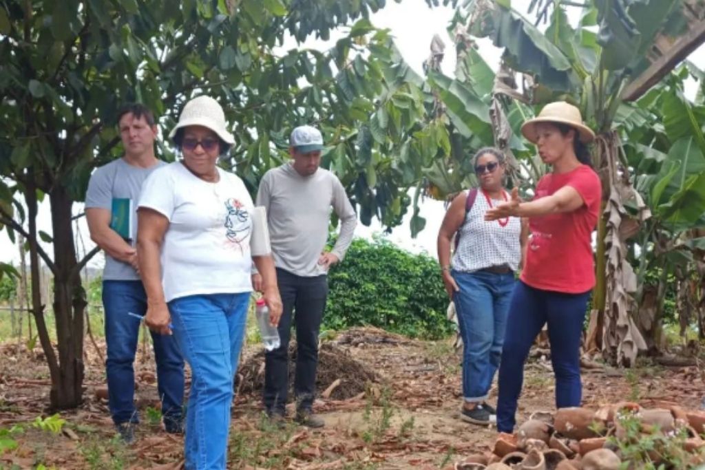 rede_bem_viver_agricultura.jpg