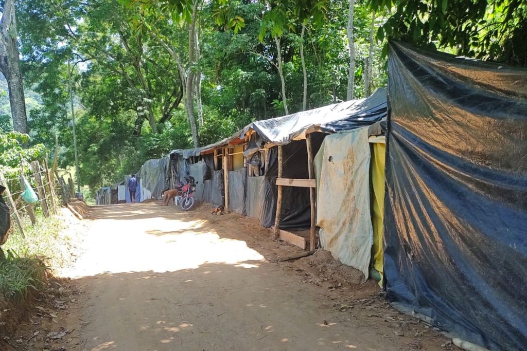 acampamento_mimoso2_divulgacao.jpg