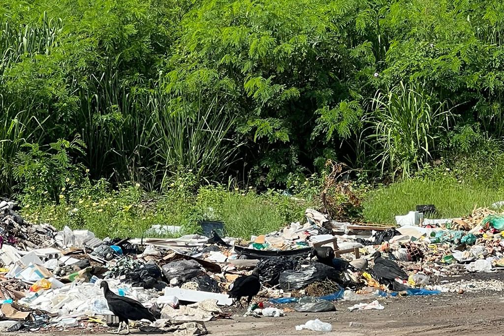 terreno_baldio_sao_diogo_3_redes_sociais.jpg
