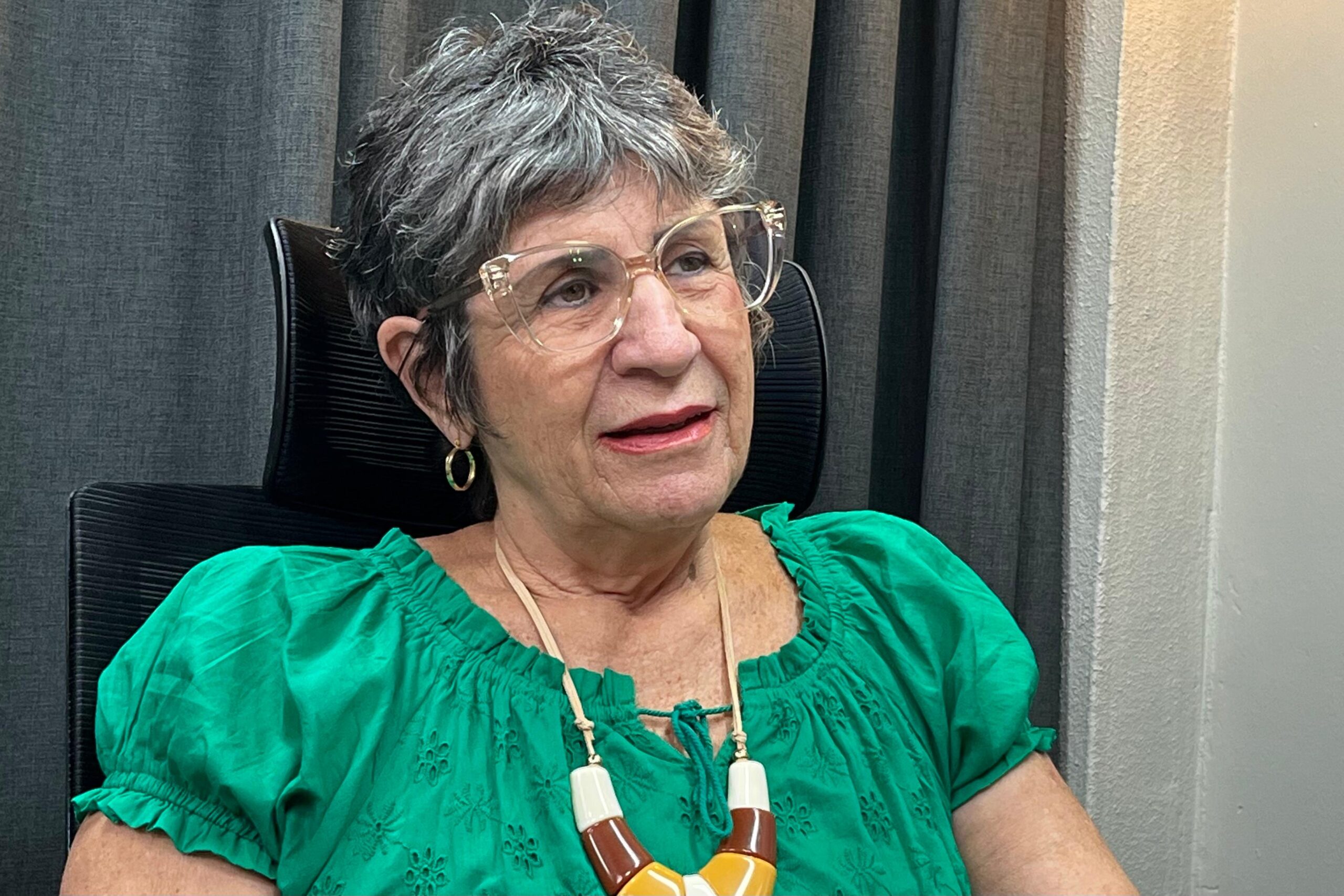 Iriny Lopes que estratégia no Estado será alinhada com direção nacional